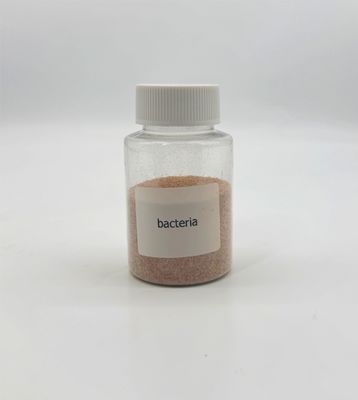 Trattamento dell'acqua Biocarburanti Degradazione dei solidi sospesi Materia organica polvere marrone