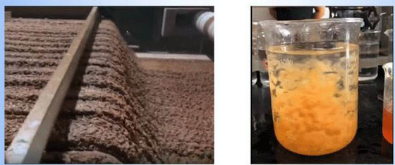 Emulsione di PAM del polimero del &Flocculant& del liquido di perforazione del chemicals& del giacimento di petrolio/inibitore di perforazione scisto/di Viscosifier