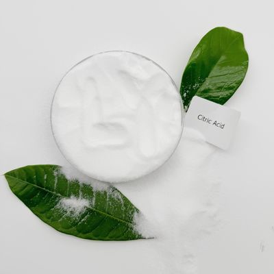 Additivi alimentari Polvere vegetale di grado alimentare Acido citrico monohidrato anidro
