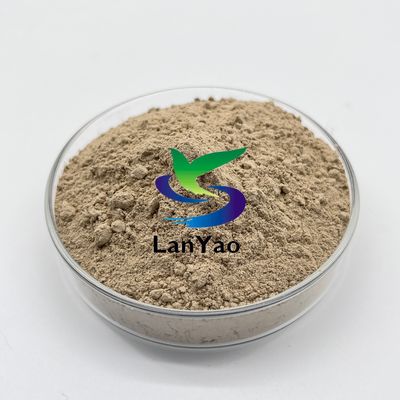 Produttore professionale Bacteri degradanti di alta qualità per la rapida degradazione delle sostanze oleose