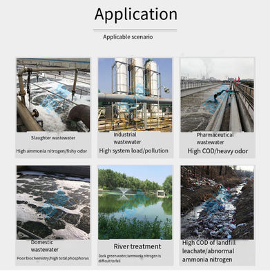 Trattamento dell'acqua Biocarburanti Degradazione dei solidi sospesi Materia organica polvere marrone