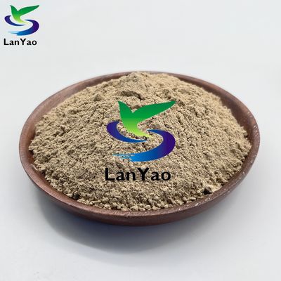 Protezione dell'ambiente Microorganismo Trattamento delle acque reflue Bio-batteriche Per l'eliminazione del fango Polvere marrone