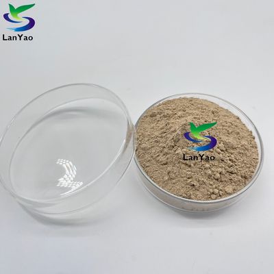 Antibiotici aerobici Anaerobici Bacteria anaerobici aerobici Trattamento delle acque reflue Coltura batterica