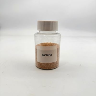 Non tossici Trattamento dell'acqua ecologico Bio batteri Alta concentrazione per la riduzione degli inquinanti organici