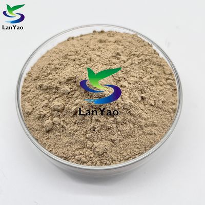 Biobatterie nitrificanti batterie trattamento efficace delle acque reflue
