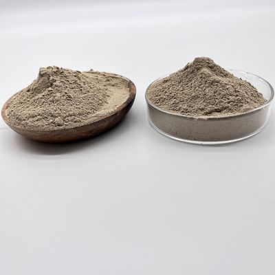 Trattamento dell'acqua I batteri biologici riducono gli inquinanti organici