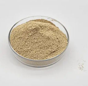 Trattamento dell'acqua Bio-batteri in polvere prestazioni affidabili durature