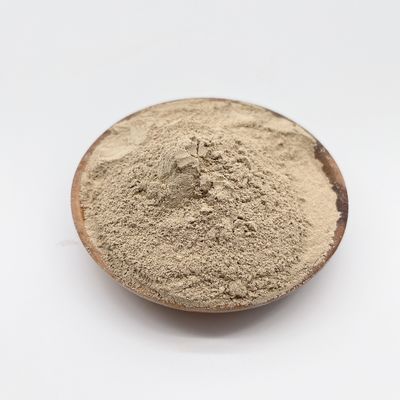 Innovative Proven Performance Powder Form Trattamento delle acque reflue Bacterial For Bio Bacteria