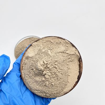 Innovative Proven Performance Powder Form Trattamento delle acque reflue Bacterial For Bio Bacteria