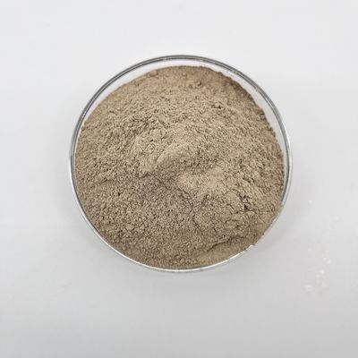 Trattamento delle acque reflue Riduce gli inquinanti organici e migliora l'acqua